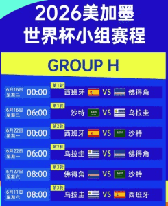 在线平台免下载，手机电脑同步直播